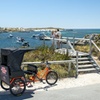 Image 3: Rottnest Island 90-minute E-Rickshaw Adventure with Tour Guide