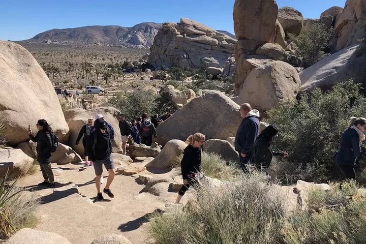 Joshua Tree National Park Driving Tour