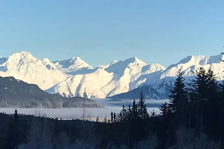 Portage Glacier Cruise and Wildlife Explorer Tour