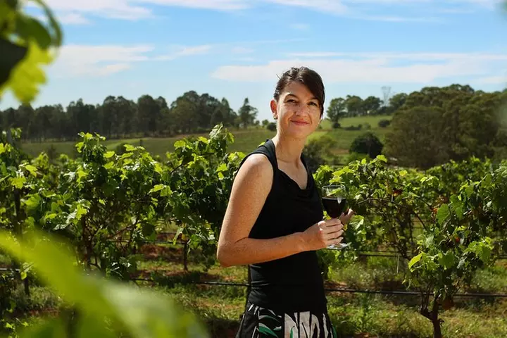 Hunter Valley Wine Tour from Sydney with Lunch and 3 Cellar Door Ta...