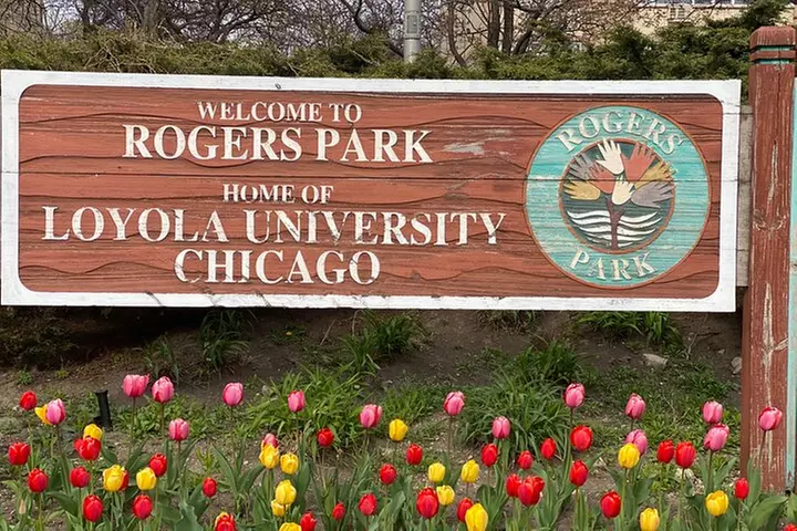 Small-Group Tour of Chicago Neighborhoods: North and South Side