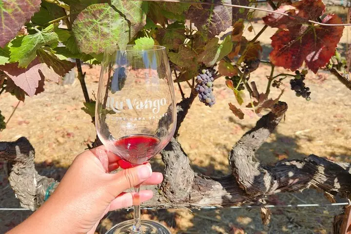 Small Group Napa and Sonoma Half-Day Wine Tour from San Francisco