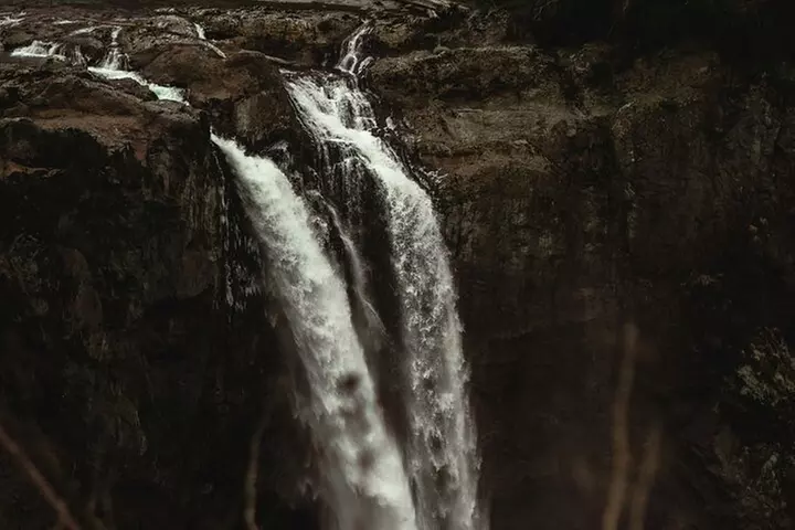 Visit Snoqualmie waterfall and an old forest (Transport Included)