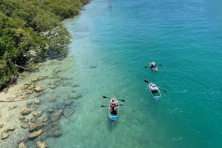 Guided Clear Kayak Eco-Tour of Jupiter
