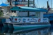 Dolphin & Sightseeing Cruise + Beach Stop + Snorkel + Equipment - Second Medium