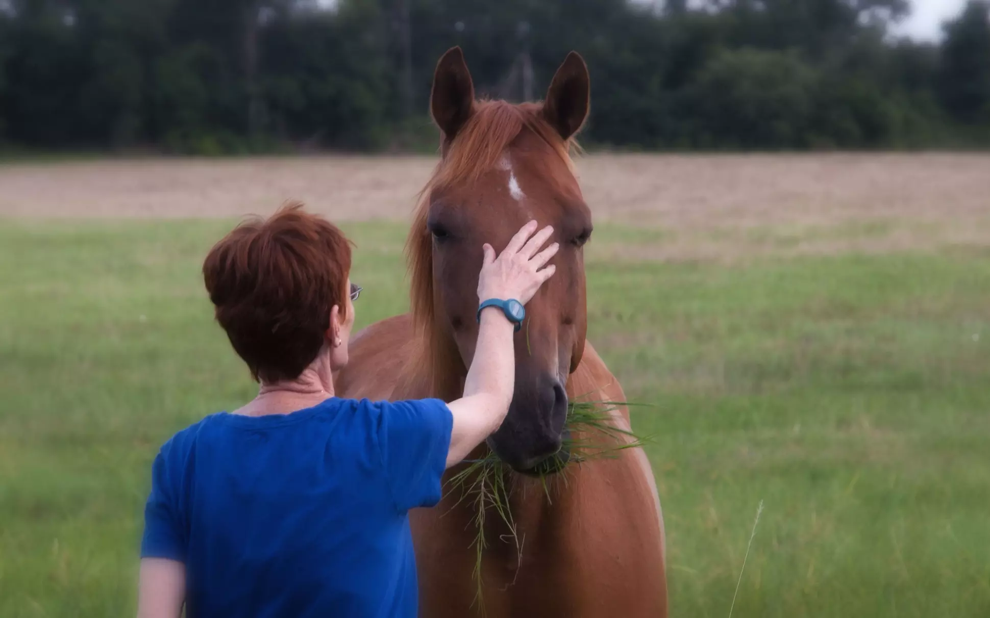 Pete Thrills: Private Kids Horseback Riding Lesson - Second Medium