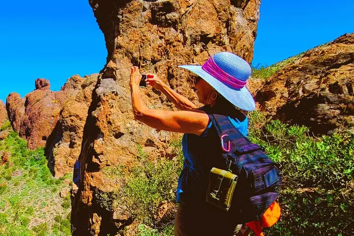 Exclusive: Happy Cactus Tour to Apache Trail & Superstition Mtn