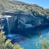 Image 9: Jervis Bay and Shoalhaven South Coast NSW Private Tours