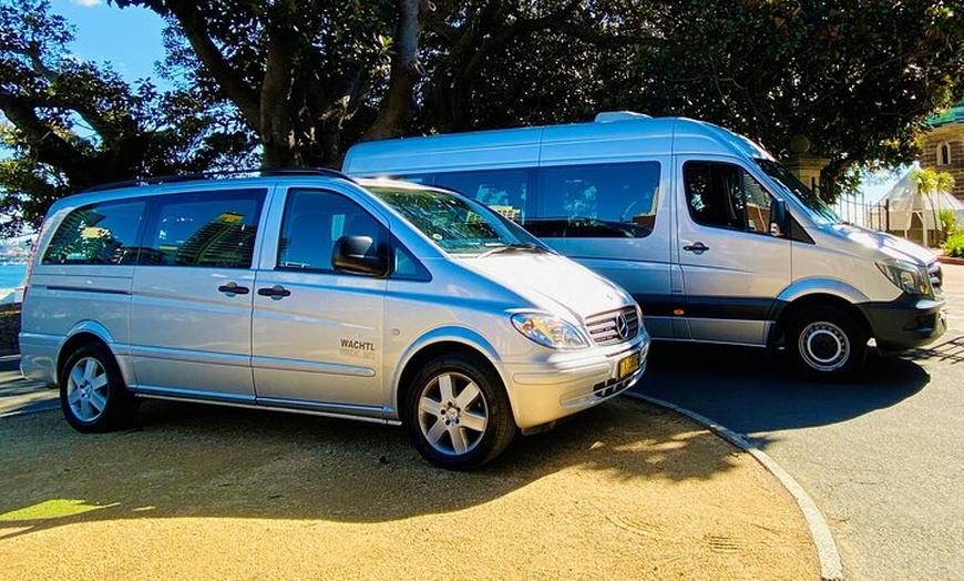 Image 9: Sydney: PRIVATE Blue Mountains, Wildlife & Cruise Luxe Tour (10h)