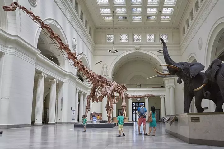 Chicago : The Field Museum Skip the Line 2H Guided Tour - Primary Image