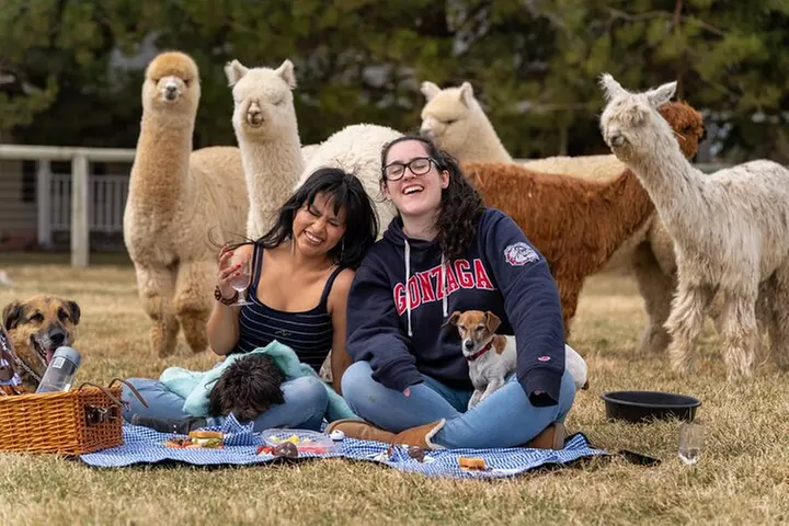 Alpaca Picnic Experience in Oregon - Primary Image