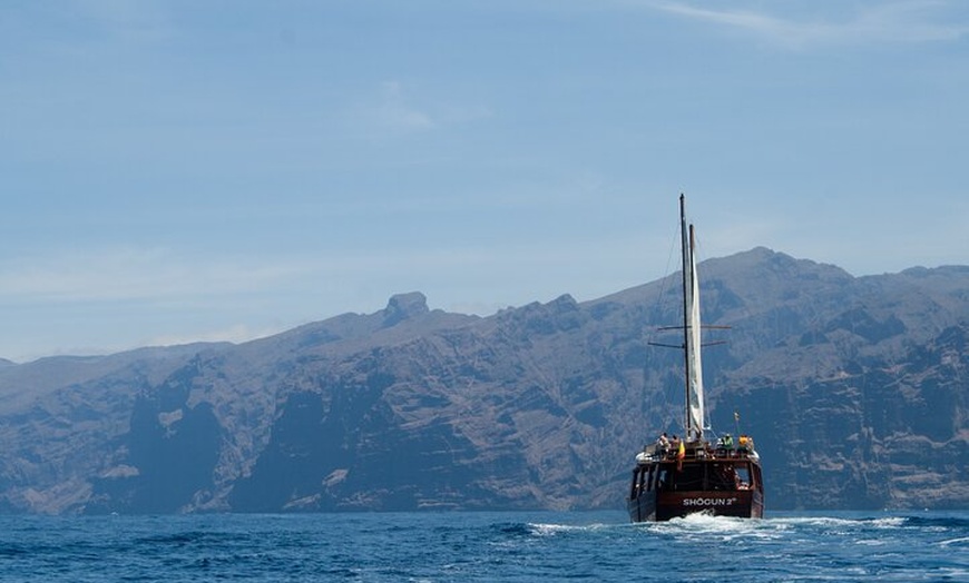 Image 6: Safari de ballenas hasta Los Gigantes con recogida desde Norte