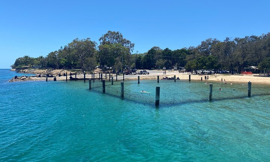 Image 10: North Stradbroke Island WILDLIFE Adventure Tour from Brisbane