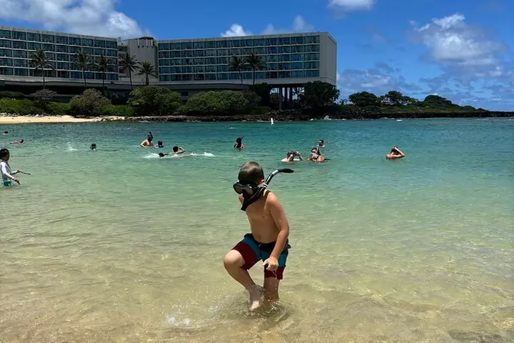 Oahu Circle Island: Snorkel with Turtles & Explore Turtle Beach