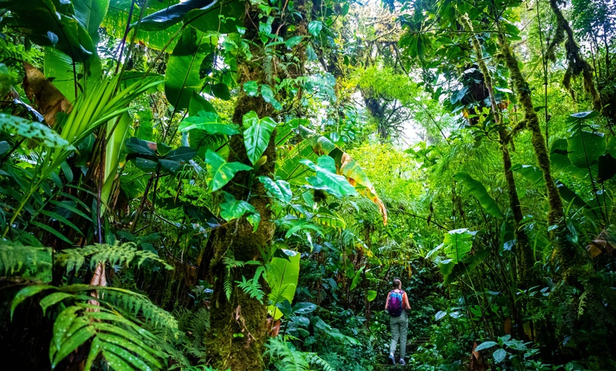 Image 11: ✈ COSTA RICA | De San José à Manuel Antonio - Autotour à la découve...