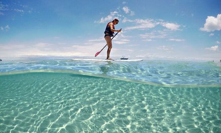 Image 4: Adventure Moreton Island Scuba Dive Tour