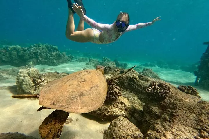 Snorkel with Turtles and Free Videos Hilo - Second Medium
