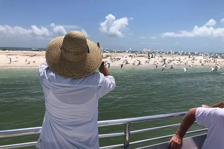 10,000 Islands Boat Excursion - 3.5-Hour Dolphins & Shelling Tour