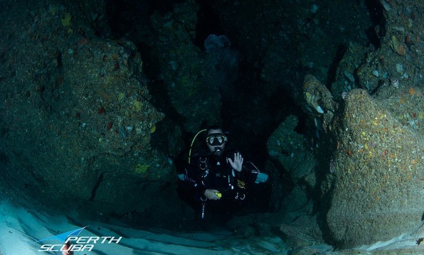 Image 3: Rottnest Island deep dive tour