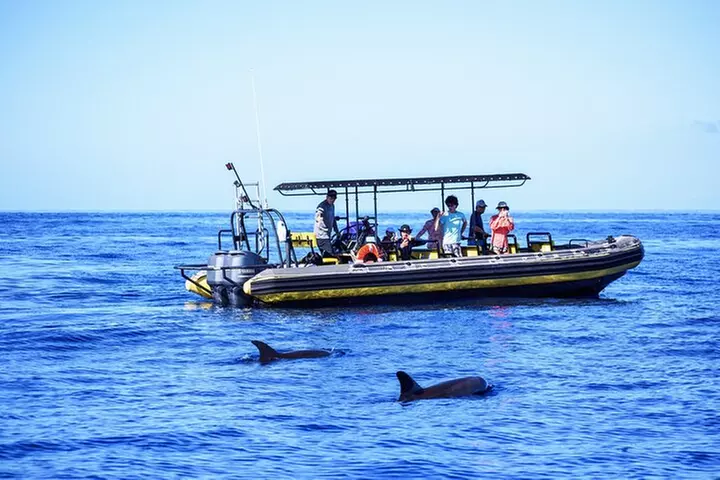 10 Passenger Max Customizable Private Charter - Primary Image