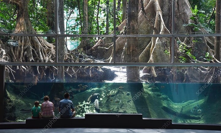 Image 6: Traslado privado Barcelona City a Barcelona City O cambiar de hotel