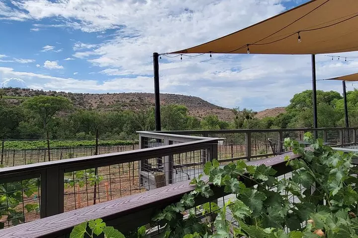 Private Wine Tour, Voted best in town, Tastings Included!