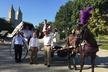 NYC Central Park VIP Horse and Carriage Ride - Second Medium