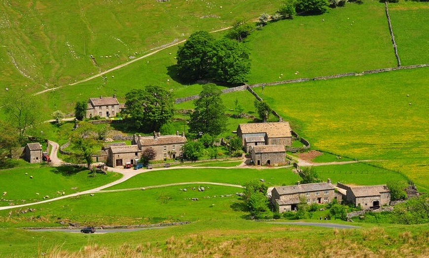 Image 5: All Creatures Great and Small Tour from York