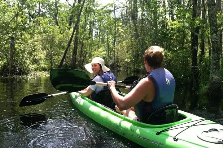 Alligator River Kayak Adventure - Primary Image
