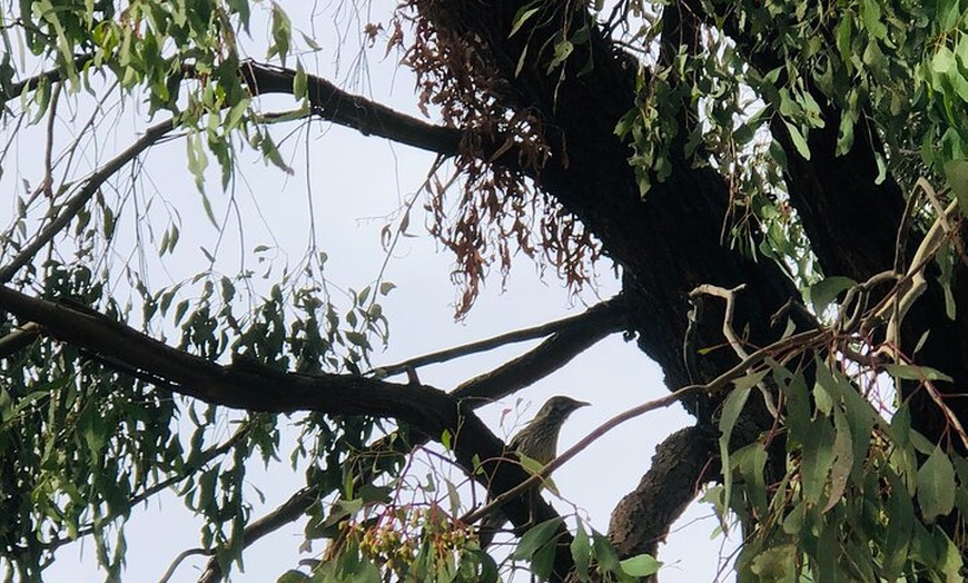 Image 6: Private Snow tour Lake Mountain (JUN-SEP)