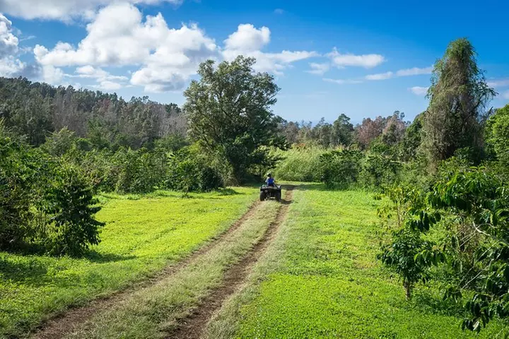 Polynesian Cultural ATV Tour