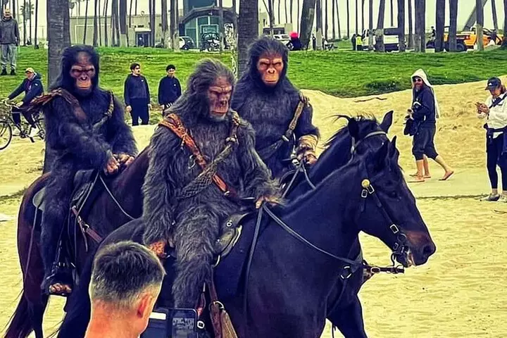 Venice Vibrations Public Bike Tour Experience