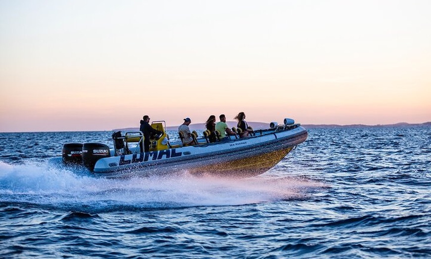 Image 7: Excursión en SpeedBoat en la Playa de Palma