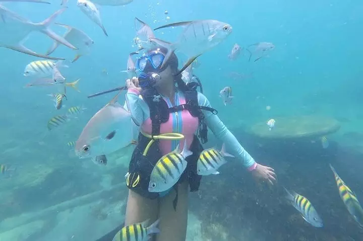 Discover Scuba Diving in San Juan, for first time divers - Primary Image