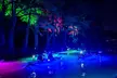 Glowing Kayak Tour - Kerrville - Second Medium