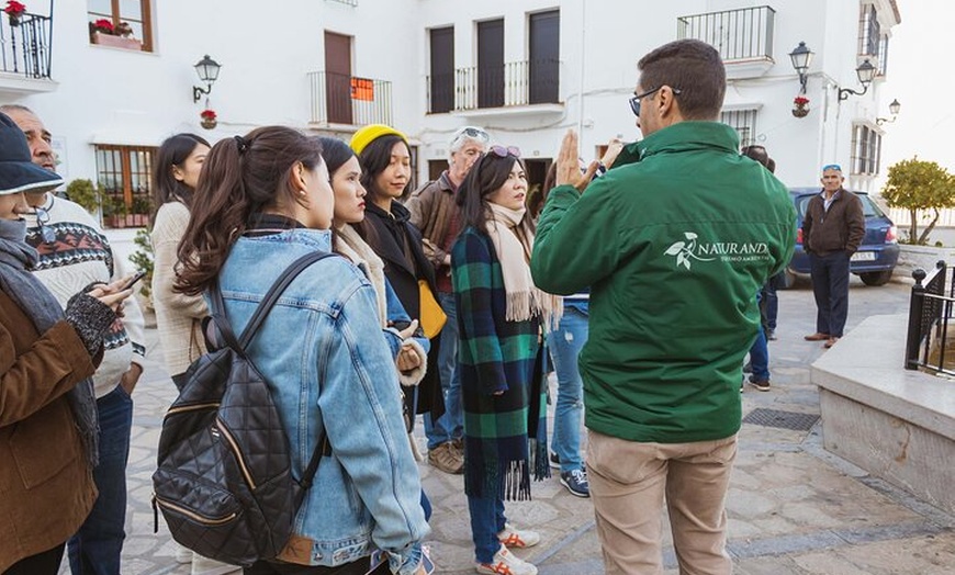 Image 19: Visita guiada a pueblos blancos y Ronda desde Sevilla