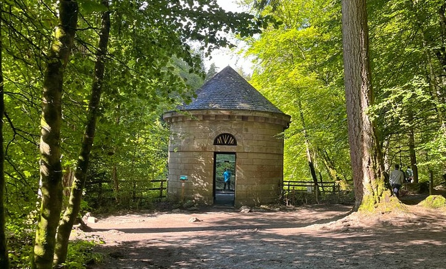 Image 9: Luxury Private Tour of The Highlands