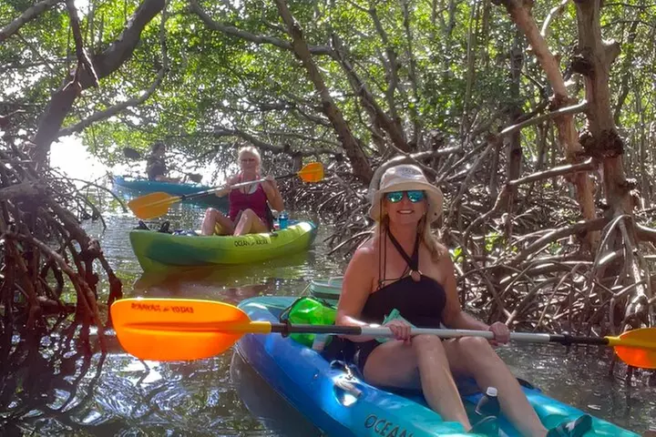 Exclusive Kayak Expedition: Exploring the Mangroves to Shell Key