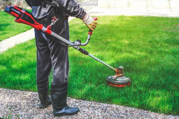 $80 For 1 Month of Mow, Edging, & Weed Whacking (Reg $160.)