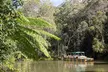 Kuranda Village, Army Duck Tour with Train and Skyrail (KDB) - Image 2