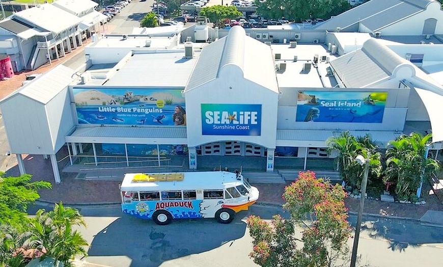 Image 4: Aquaduck Sunshine Coast - 1hr Mooloolaba Amphibious Tour