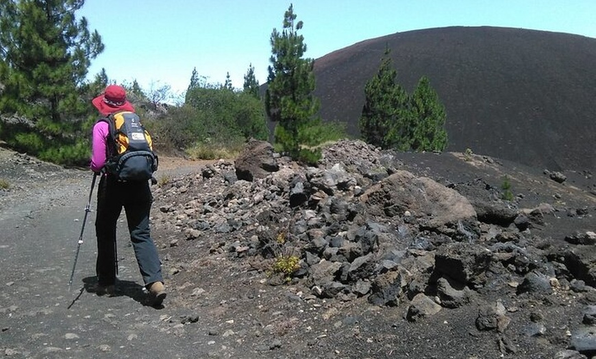 Image 10: Viajes en el tiempo entre los volcanes Trevejo y Chinyero en Tenerife