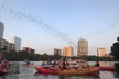 Congress Avenue Bat Bridge Kayak Tour in Austin - Second Medium