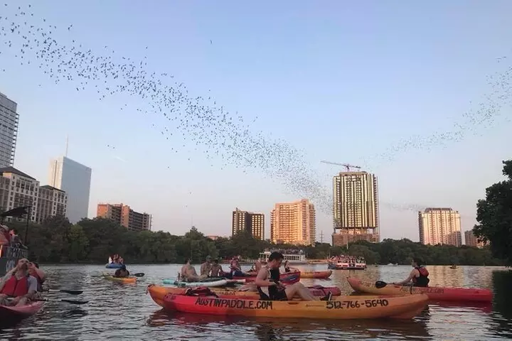 Congress Avenue Bat Bridge Kayak Tour in Austin