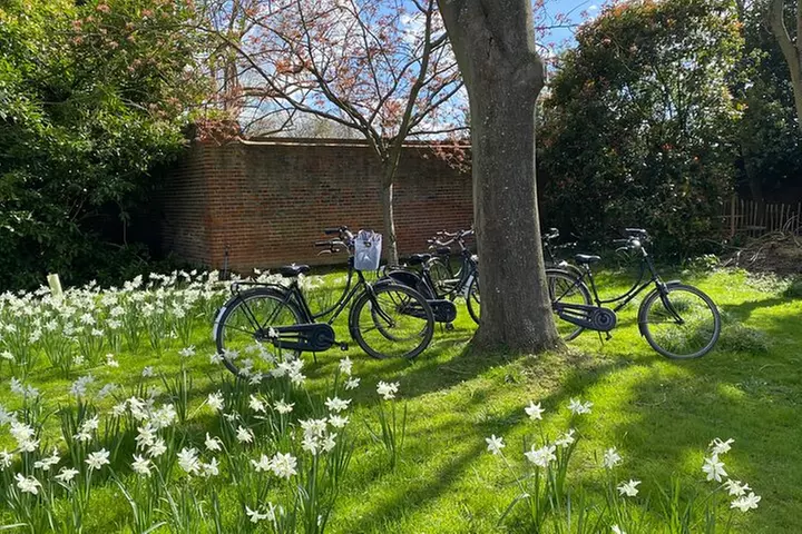 Windsor and Thames Valley Bike Tour