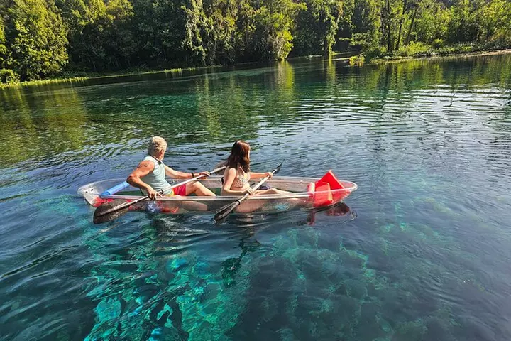 Clear Kayak or Paddleboard Manatee Adventure