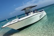 Swim with Pigs & Snorkeling with Turtles Cay Hopping in Bahamas - Second Medium