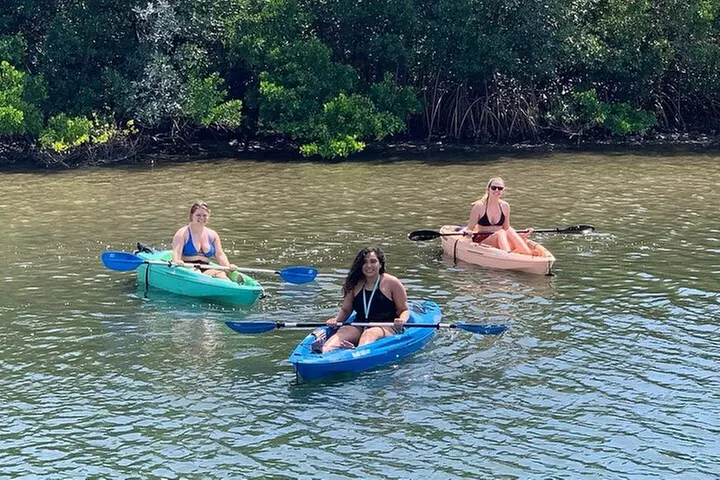 Single Kayak Rental to Explore the Waters of Tampa Bay - Second Medium