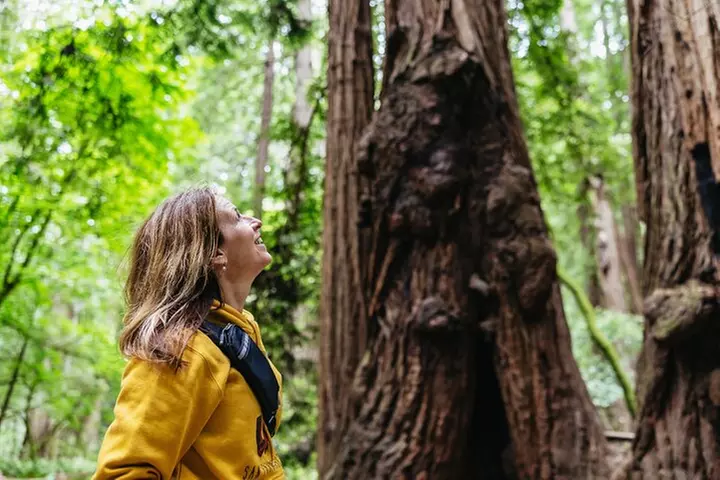Muir Woods & Sausalito (Return by Bus or Ferry) - Primary Image