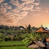Image 21: ✈ INDONESIA | Bali, Gili & Lombok - I luoghi imperdibili di Bali: G...